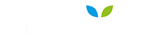 Logo Distrito Carolina