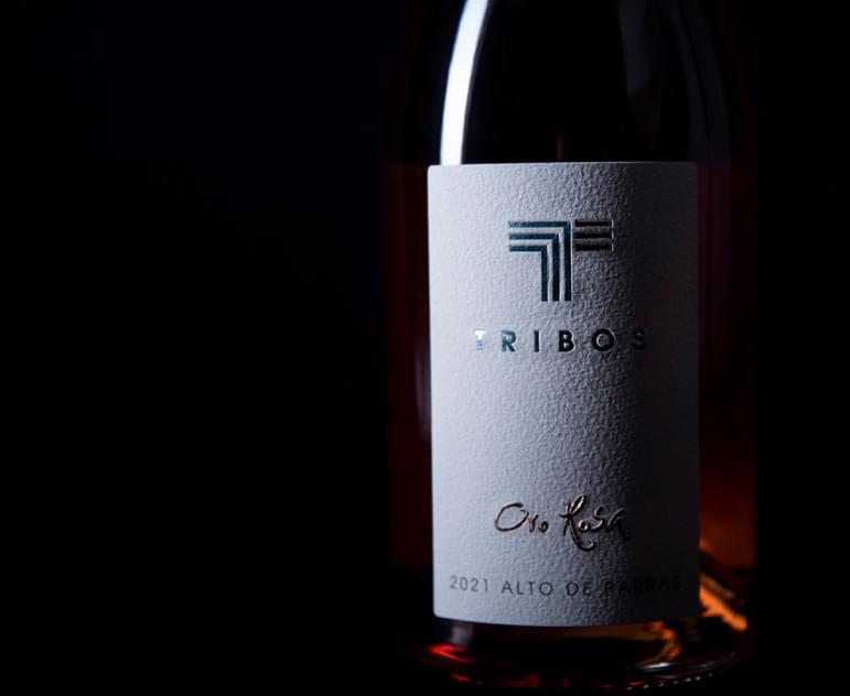 vidos bodega del vientos