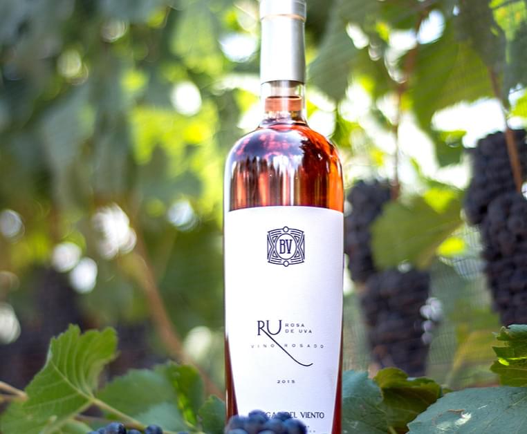 vidos bodega del vientos