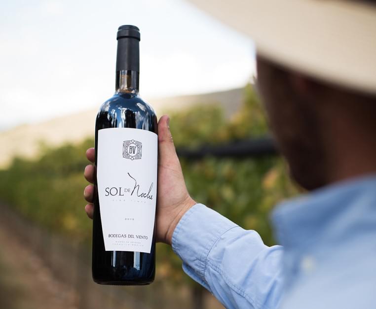 vidos bodega del vientos